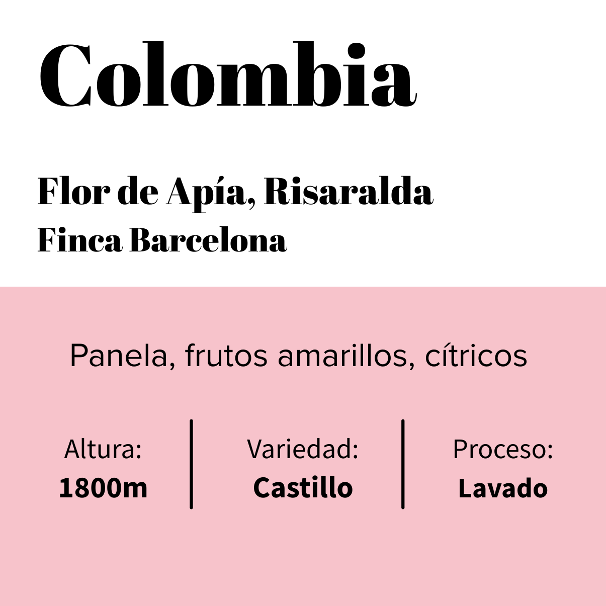 Colombia - Apía - Risaralda -  Finca Barcelona - Lavado-0
