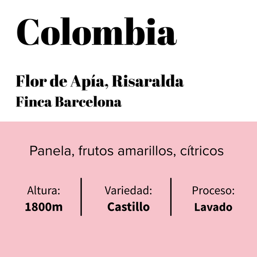 Colombia - Apía - Risaralda -  Finca Barcelona - Lavado-0