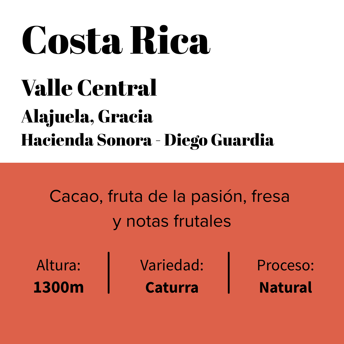 Costa Rica - Valle Central - Hacienda Sonora – Caturra Natural-0
