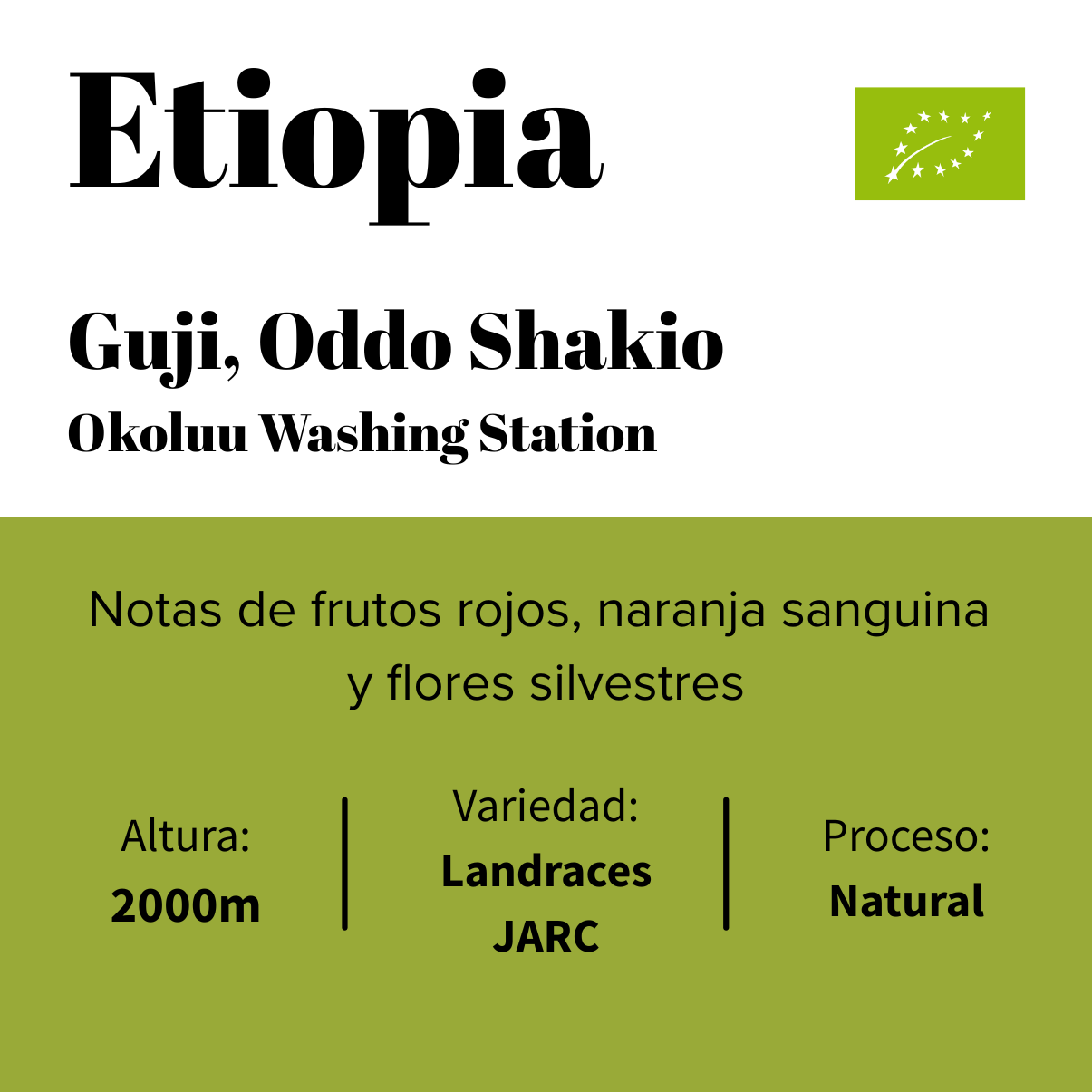 Etiopia - Guji - Okoluu Washing Station - Natural - Orgánico-0
